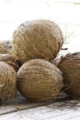 Dried coconut for coconut milk