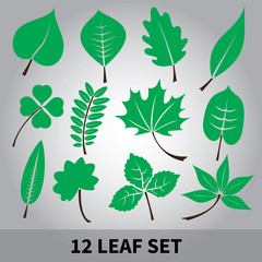 leaves icon set eps10