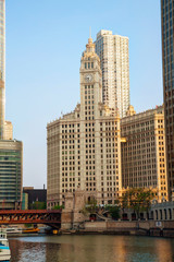 Chicago downtown with the Wrigley building