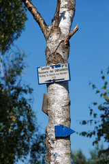 Signalisation sur bouleau en Forêt de fontainebleau,  panneau