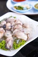Oysters
