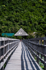 pavilion and wood bridge in swamp