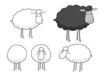 Sheep
