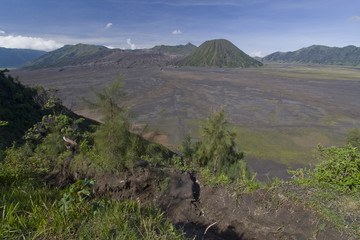 Wulkan Bromo - Jawa © Rochu_2008
