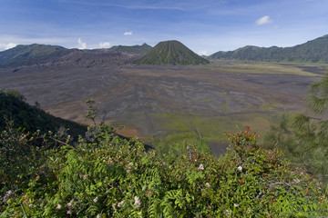 Wulkan Bromo - Jawa © Rochu_2008