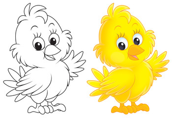 Little yellow nestling