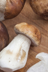 Fresh boletus edulis