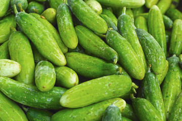 Fresh vegetables - cucumber in the market.