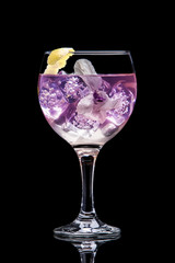 Gin tonic cocktail