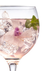 Gin tonic cocktail