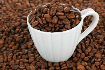 Coffee beans in cup close-up