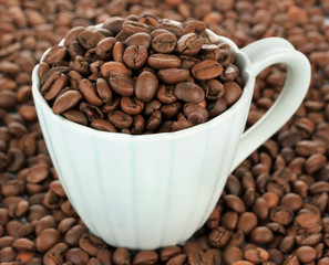 Coffee beans in cup close-up