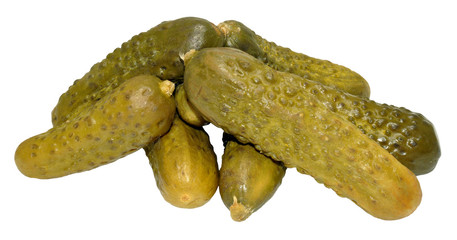 Pickled Gherkins
