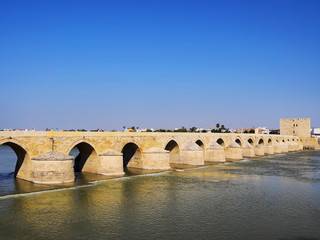 Fototapeta premium The Roman Bridge in Cordoba, Spain