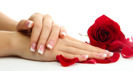 Fototapeta premium Beautiful woman hands with rose, isolated on white
