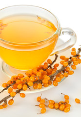 Branches of sea buckthorn with cup of tea isolated on white