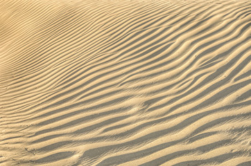 sand dune texture