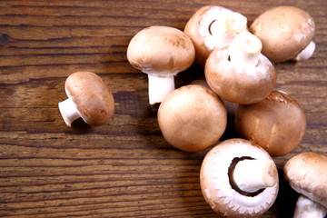 Brown mushroom on wood background