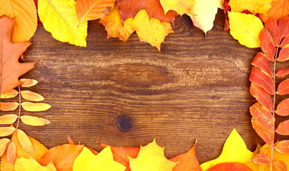 Red and yellow tree leaves on wood background
