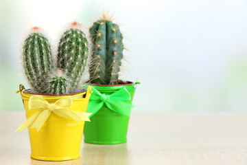 Beautiful cactuses in bright pails on wooden table