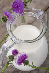 Obraz na płótnie Canvas organic fresh milk in the jug with thistle flower