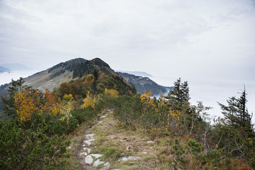 Berglandschaft mit Nebel