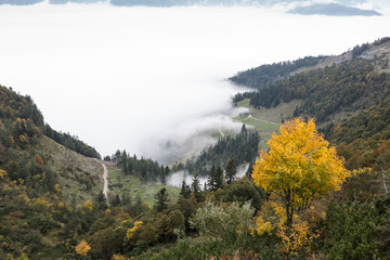 Berglandschaft mit Nebel