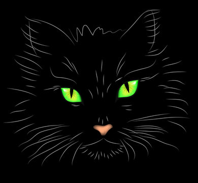 Vector illustration a portrait of a cat on a black background