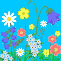 EPS10 vector illustration. wild flowers.