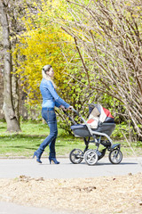 Fototapeta premium woman with a pram on spring walk