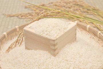 白米と稲穂