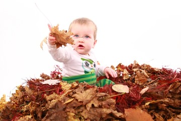 herbst