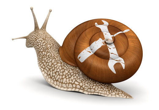 Tools Snail (clipping path included)