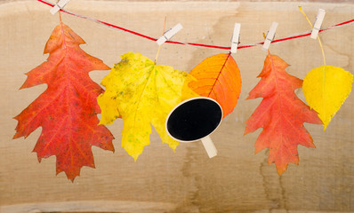herbstlaub mit schild an der wäscheleine