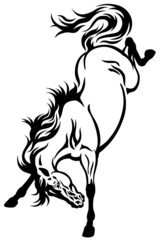 bucking horse tattoo