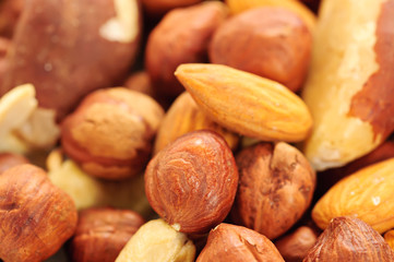 Nuts background