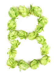 Hop flowers laid in form of letter B.