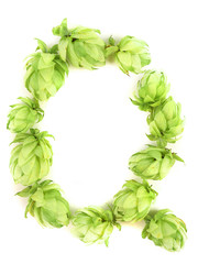 Hop flowers laid in form of letter Q.