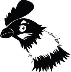 Chicken in black and white