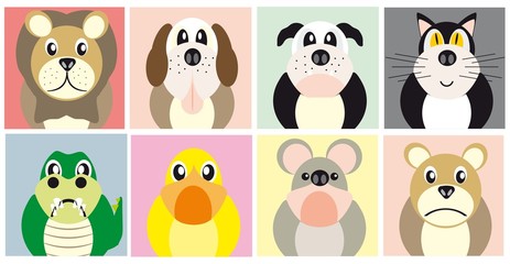 animais