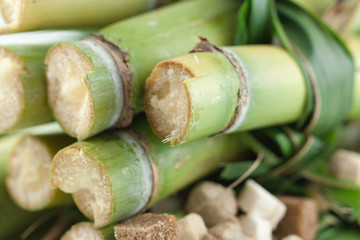 sucre de canne