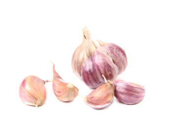 Fresh garlic whole and cloves.