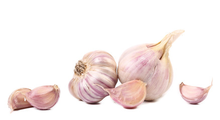 Fresh garlic whole and cloves.