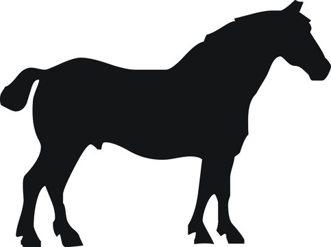 cheval
