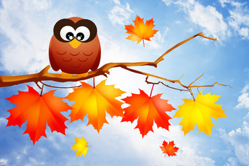 owl on branches in autumn