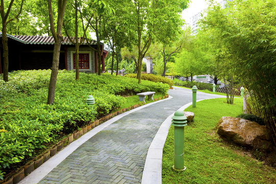 Chinese Garden With Walking Path