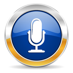 microphone icon