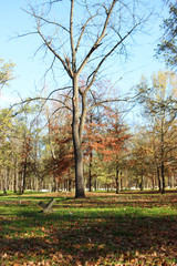 Cemetery