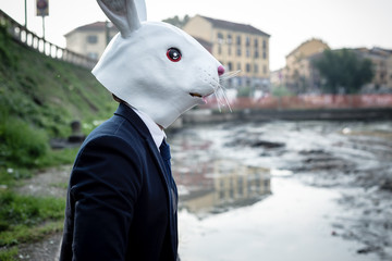 rabbit mask man in a desolate landscape