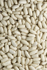 Haricot beans
